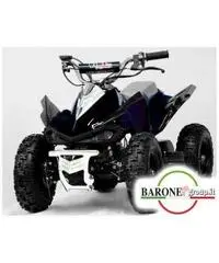 Miniquad Raptor Big 50cc E-Start R6
