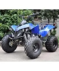 Quad Warrior Racing 125cc R8