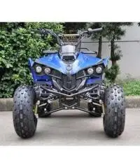 Quad Warrior Racing 125cc R8