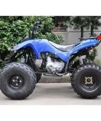 Quad Warrior Racing 125cc R8