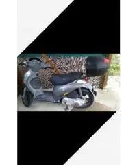 Scoter