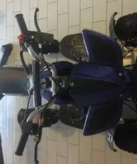 LINHAI 50 tipo veicolo Minimoto cc 49