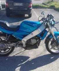Aprilia AF1 Europa Aprilia AF1 Europa