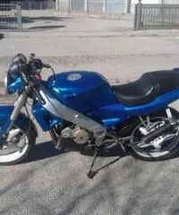 Aprilia AF1 Europa Aprilia AF1 Europa