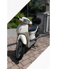 Honda SH 50 - 1997