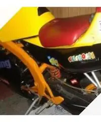 Aprilia futura