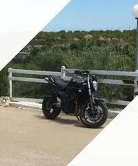 Fz6 s2