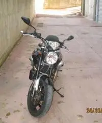 Guzzi Griso 1100