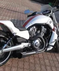 Harley Davidson V-Rod Muscle 1250cc Special Custom Unica