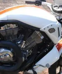Harley Davidson V-Rod Muscle 1250cc Special Custom Unica