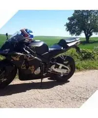 Honda CBR 600 - 2006