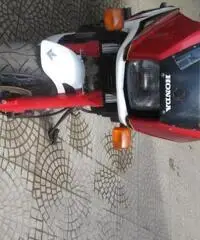 HONDA VF 500F HONDA VF 500F