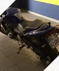 Hornet