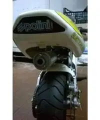 MINIMOTO POLINI