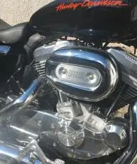 Vendo Harley 883 Superlow