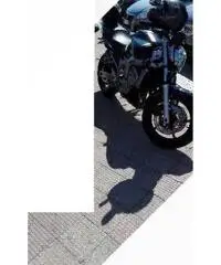 Yamaha FZ6 - 2005