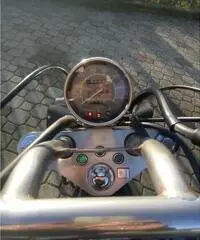 Bellissima Honda Shadow 600