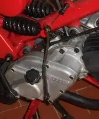 MOTO GUZZI V 75 CARDELLINO