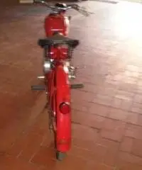 MOTO GUZZI V 75 CARDELLINO