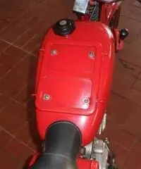 MOTO GUZZI V 75 CARDELLINO