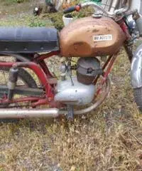 mv augusta