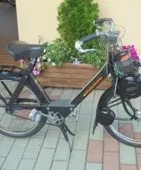 VELOCIFERO Velocifero 50 VELOSOLEX 3800