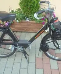 VELOCIFERO Velocifero 50 VELOSOLEX 3800