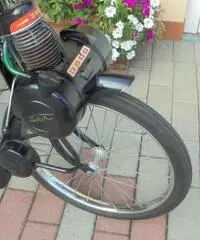 VELOCIFERO Velocifero 50 VELOSOLEX 3800