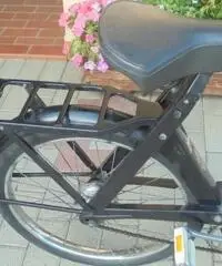 VELOCIFERO Velocifero 50 VELOSOLEX 3800