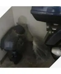 Aprilia Scarabeo 150 - 1999