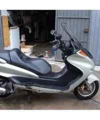 YAMAHA MAJESTY 250
