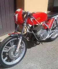 gilera tg1 gilera tg1