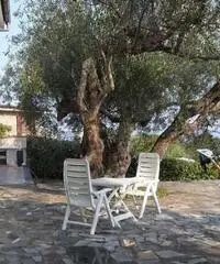 Villa in Vendita a 158.000 Villa in Vendita a 158.000