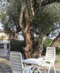 Villa in Vendita a 158.000 Villa in Vendita a 158.000