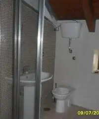 Appartamento di 3 locali in Affitto