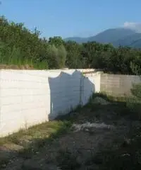 Locale commerciale in Affitto