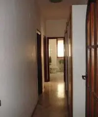 Appartamento in Affitto a 550