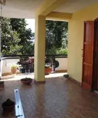 Appartamento in Affitto 150mq