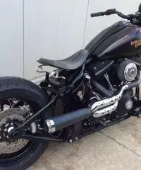 HARLEY DAVIDSON SOFTAIL CROSS BONES