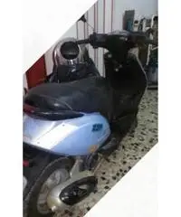 Zip 504 tempi