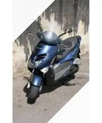 Aprilia Leonardo 250 - 2002 Aprilia Leonardo 250 - 2002
