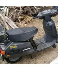 Peugeot metropolis