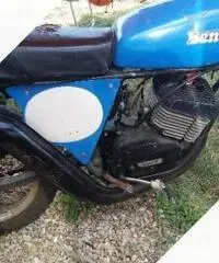 Benelli 125 Cross Altro modello - Anni 70