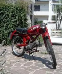 moto guzzi cardellino 73 cc 73 immatricolata 1961