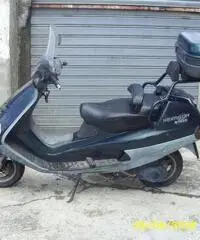 vendo vendo