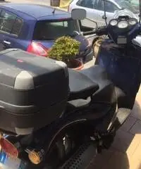 aprilia scarabeo