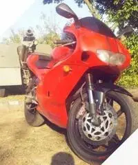 Aprilia RS 125 2001