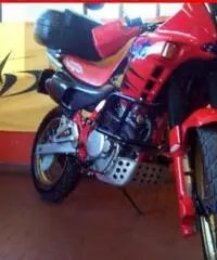 HONDA Dominator rossa - 47867