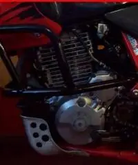 HONDA Dominator rossa - 47867