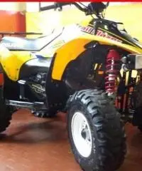 POLARIS Trail Blazer 250 GIALLO - 4500